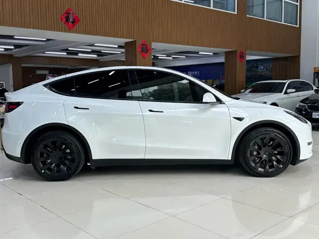 Tesla Model Y — Фото автомобиля 5