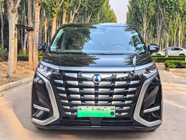 Denza D9 — Фото автомобиля 2