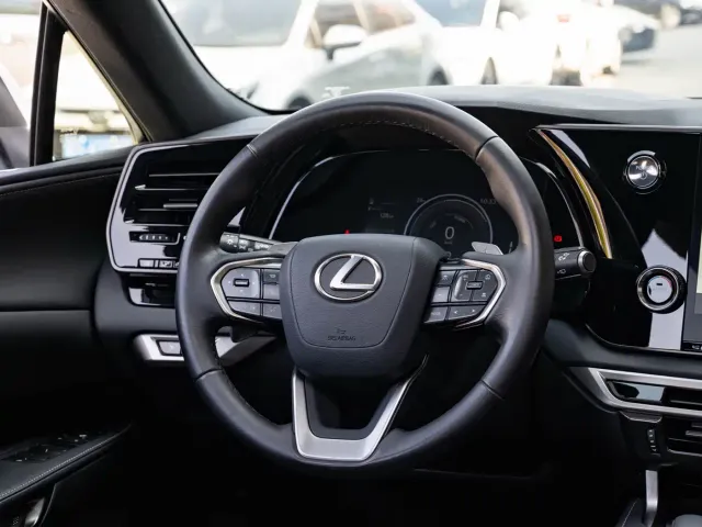 Lexus RX — Фото автомобиля 14