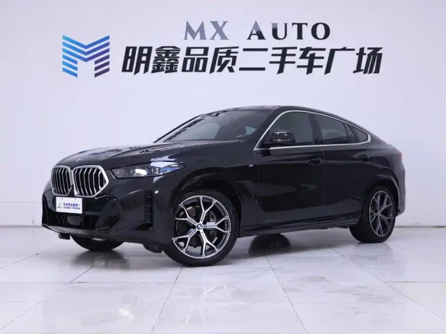BMW X6 — Фото автомобиля 2