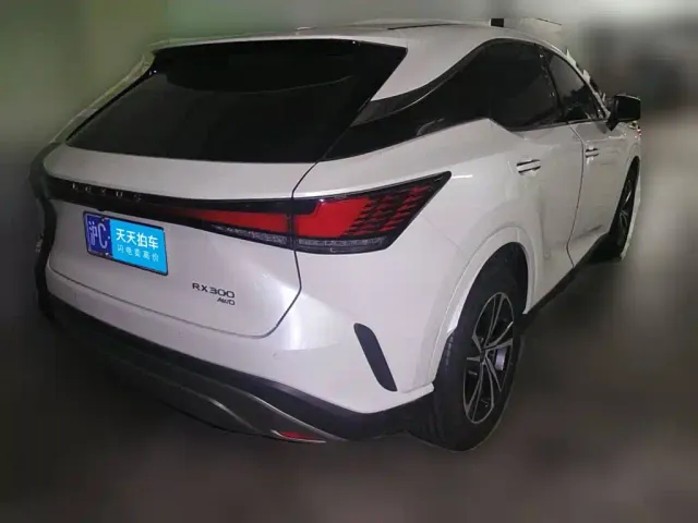 Lexus RX — Фото автомобиля 2