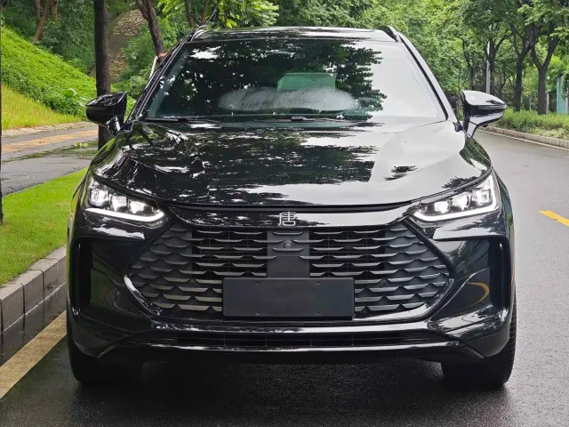 BYD Tang New Energy 2024 DM-p God of War Edition — Фото автомобиля 2