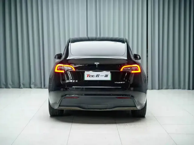 Tesla Model Y — Фото автомобиля 9