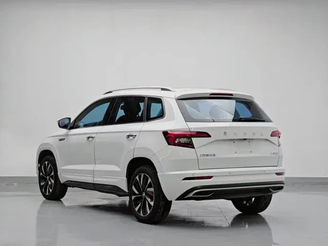 Skoda Karoq — Фото автомобиля 4
