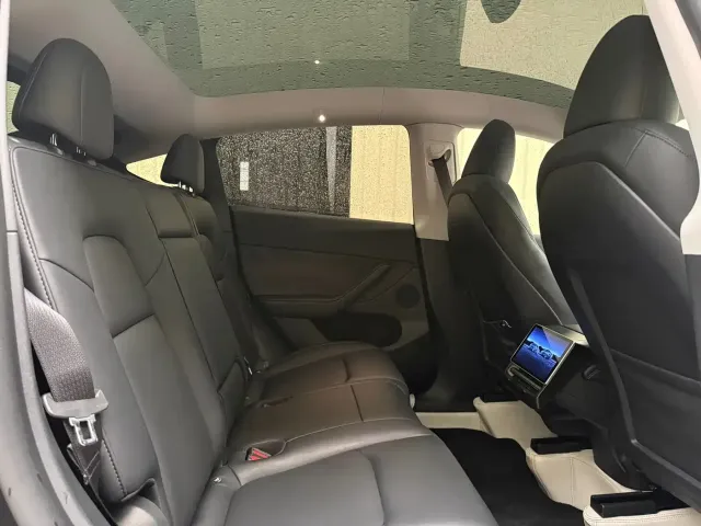Tesla Model Y — Фото автомобиля 21