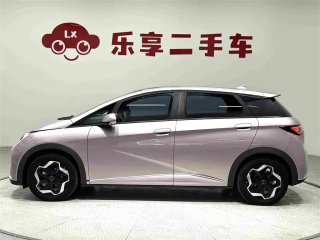 BYD Dolphin — Фото автомобиля 2
