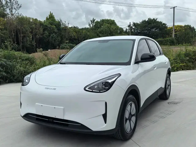 Фотография автомобиля — Geely Starry Wish
