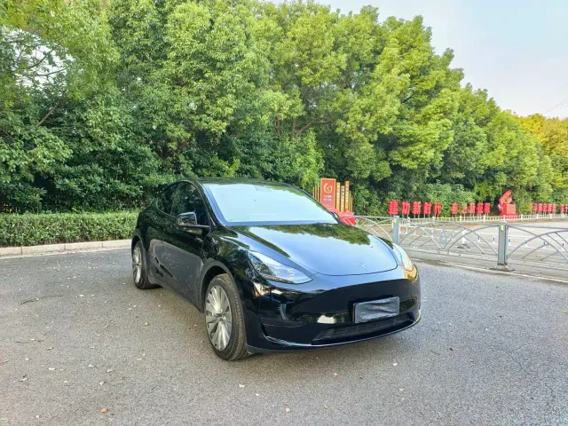 Tesla Model Y — Фото автомобиля 3