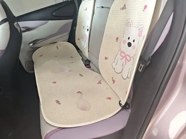 BYD Dolphin — Фото автомобиля 16