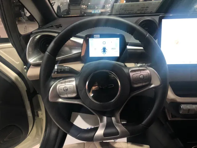 BYD Dolphin 2021 Model 405km Fashion Edition — Фото автомобиля 13