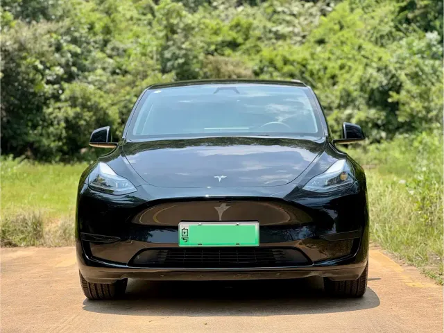 Tesla Model Y — Фото автомобиля 2