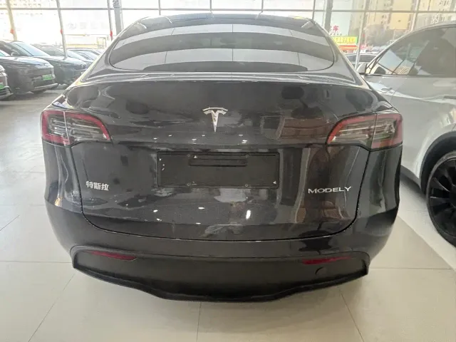 Tesla Model Y — Фото автомобиля 9