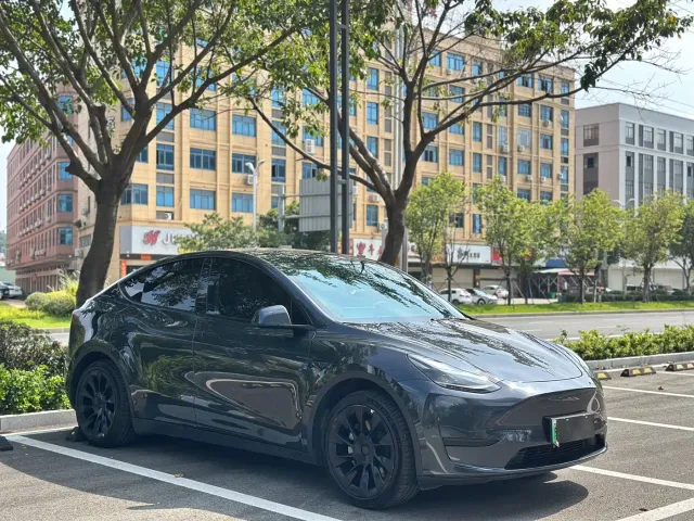 Tesla Model Y — Фото автомобиля 3