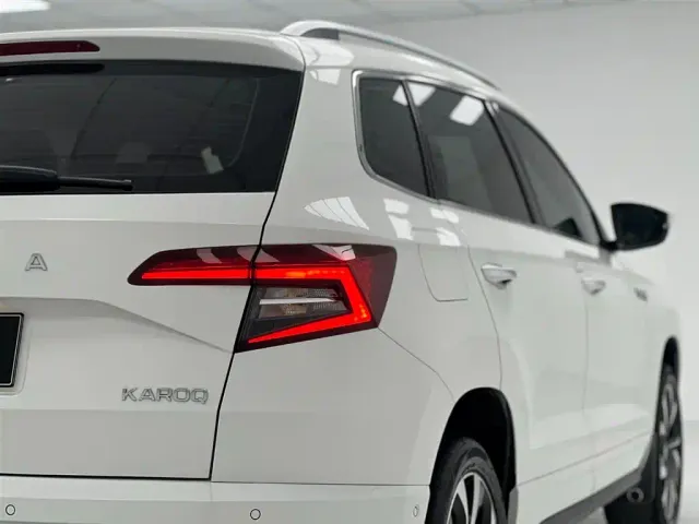 Skoda Karoq — Фото автомобиля 18