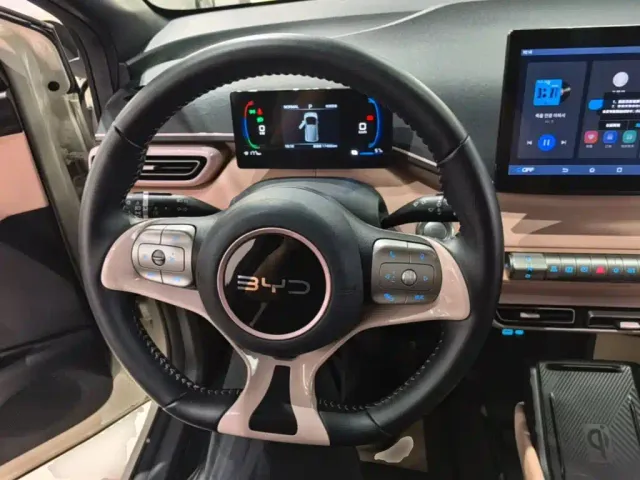 BYD Seagull — Фото автомобиля 10