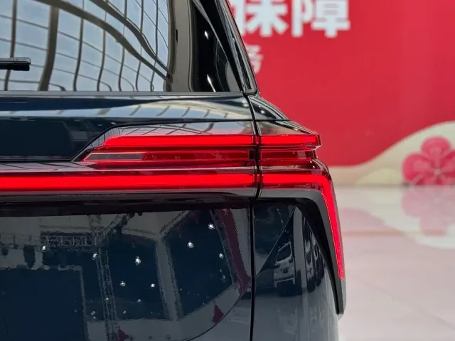 Wey Lanshan — Фото автомобиля 26