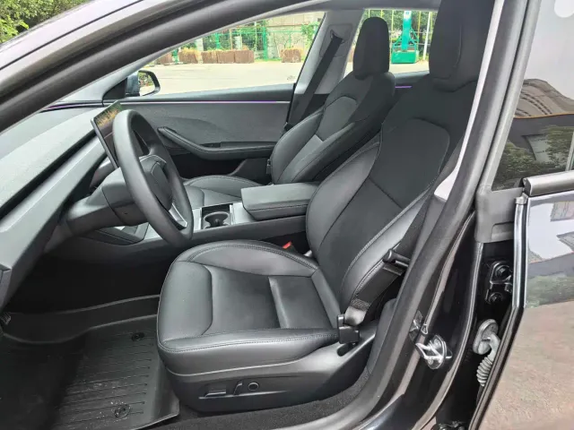 Tesla Model 3 — Фото автомобиля 12