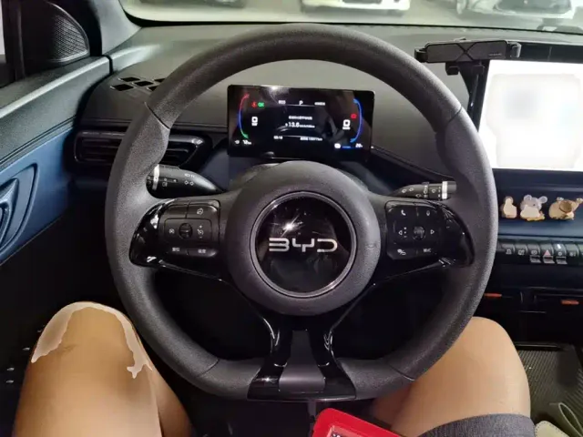 BYD Seagull — Фото автомобиля 10