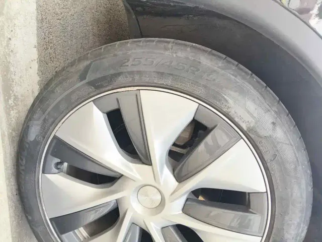Tesla Model Y — Фото автомобиля 7