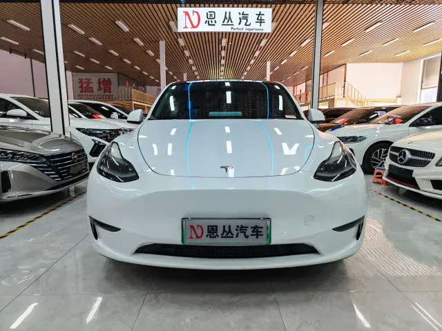 Tesla Model Y — Фото автомобиля 2