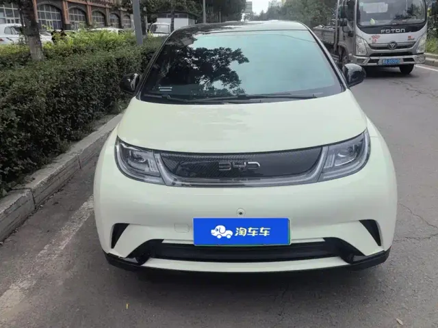 BYD Dolphin — Фото автомобиля 2