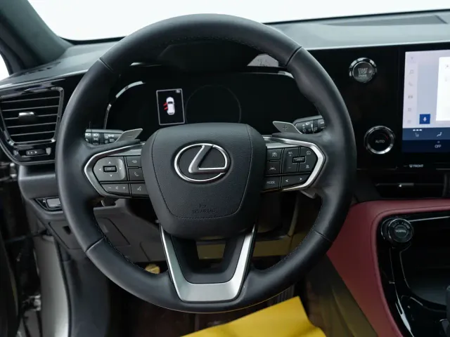 Lexus NX — Фото автомобиля 14