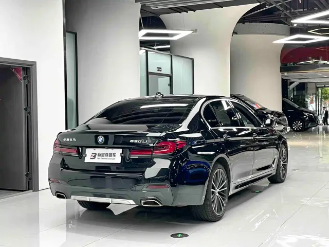 BMW 5 Series — Фото автомобиля 11