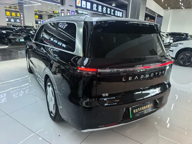 Leapmotor D Series — Фото автомобиля 11