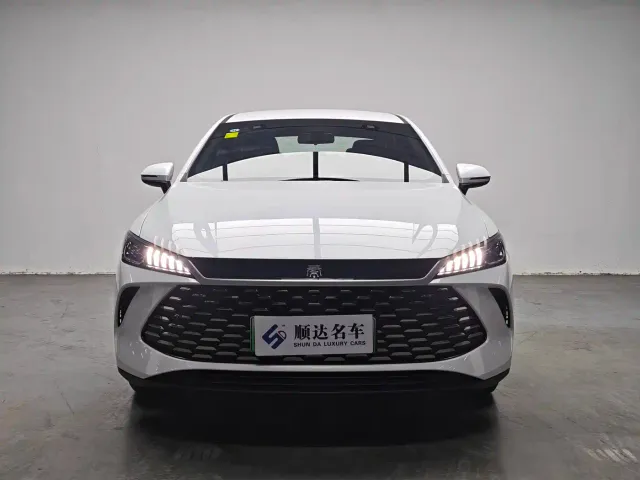 BYD Qin PLUS — Фото автомобиля 2