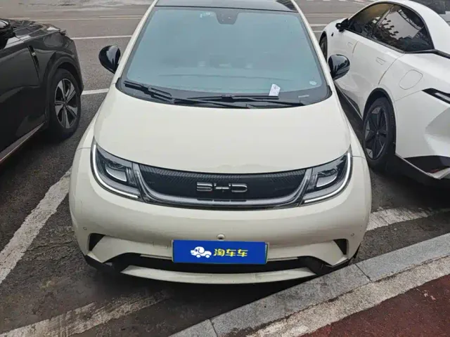 BYD Dolphin — Фото автомобиля 2