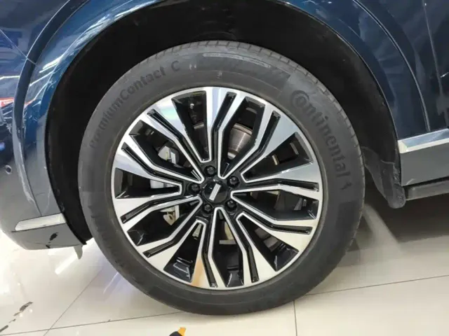 Wey Lanshan — Фото автомобиля 22