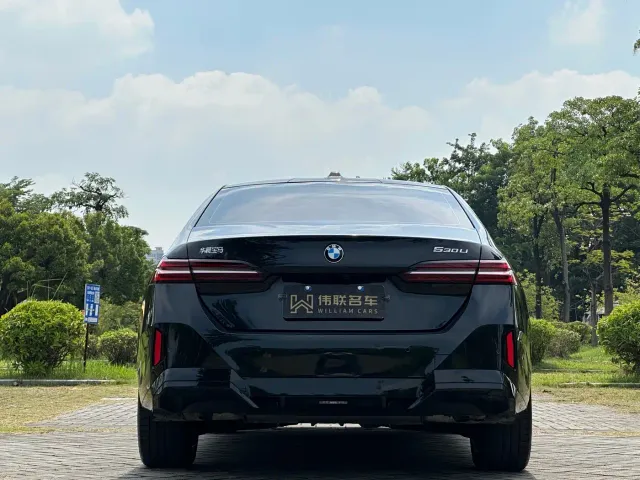 BMW 5 Series — Фото автомобиля 5
