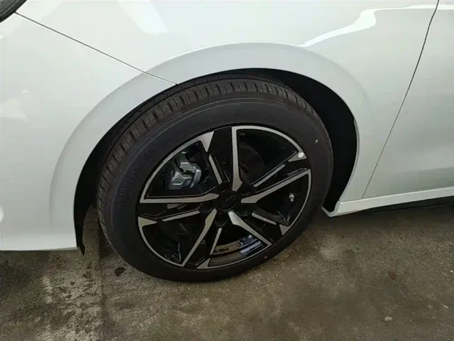 Geely Binrui — Фото автомобиля 22