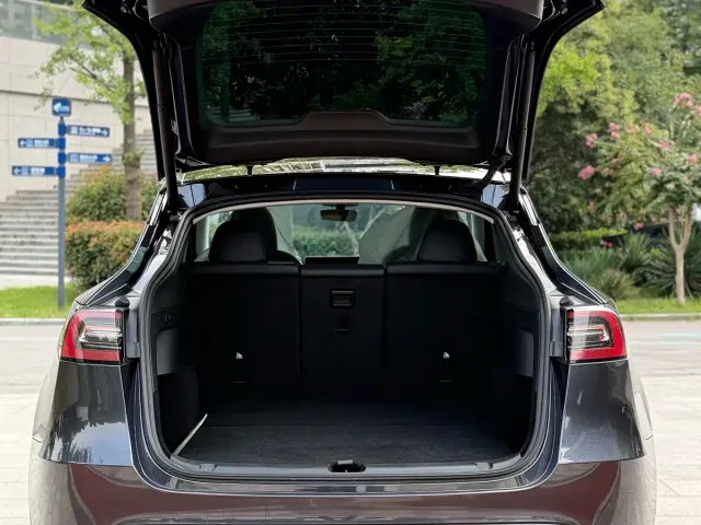 Tesla Model Y — Фото автомобиля 5