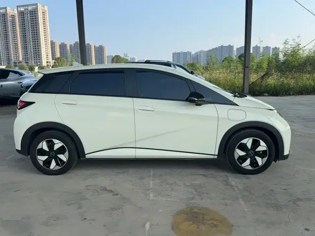 BYD Dolphin 2024 Glory Edition 420km Fashion Edition — Фото автомобиля 3