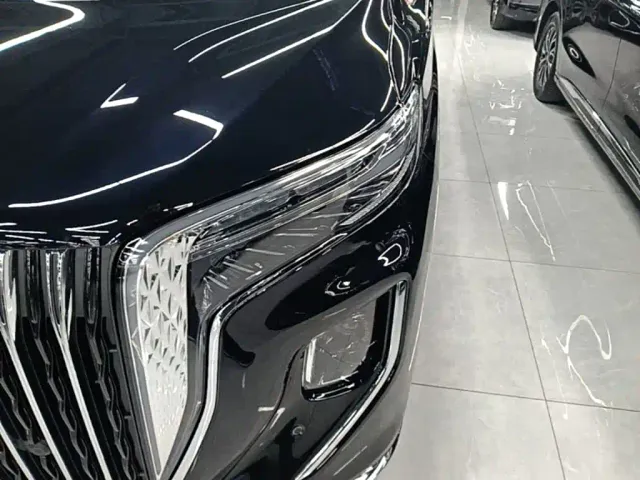 Hongqi HQ9 PHEV — Фото автомобиля 23
