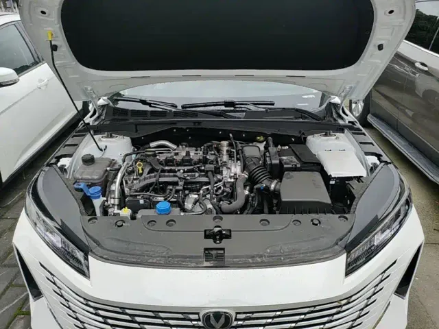 Changan Eado — Фото автомобиля 19