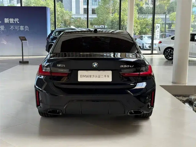 BMW 3 Series — Фото автомобиля 10