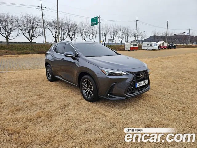 Фотография автомобиля — Lexus NX