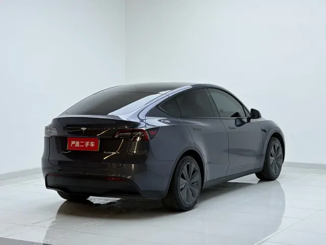 Tesla Model Y — Фото автомобиля 7