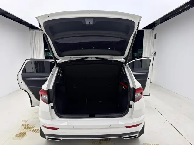Skoda Karoq — Фото автомобиля 21