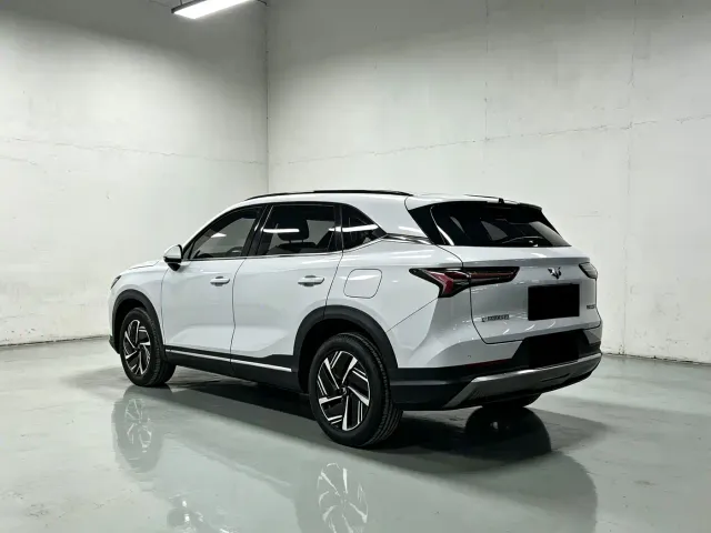 Wuling Starlight S — Фото автомобиля 9