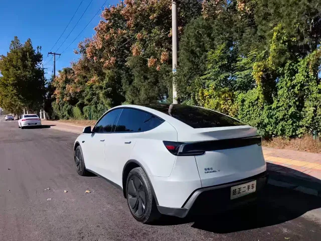 Tesla Model Y — Фото автомобиля 6