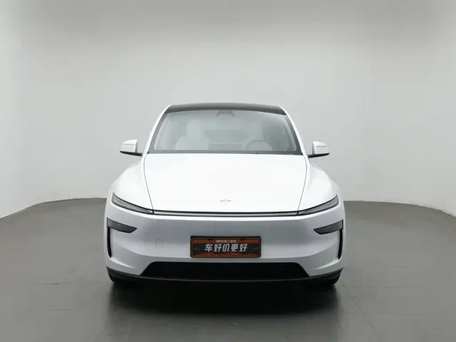 Tesla Model Y — Фото автомобиля 3