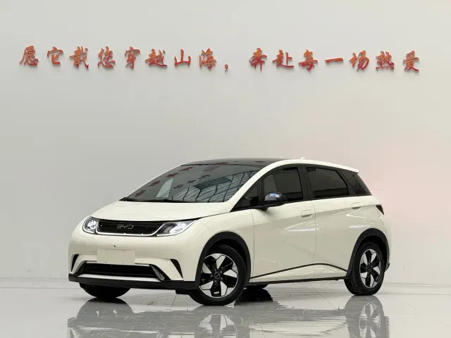 Фотография автомобиля — BYD Dolphin
