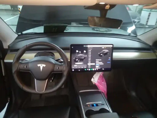 Tesla Model Y — Фото автомобиля 9