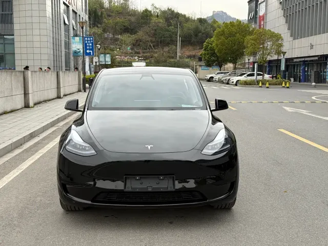 Tesla Model Y — Фото автомобиля 2
