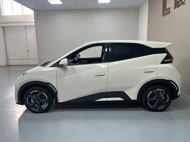 BYD Seagull — Фото автомобиля 8