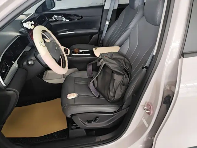 Geely Starry Wish — Фото автомобиля 14
