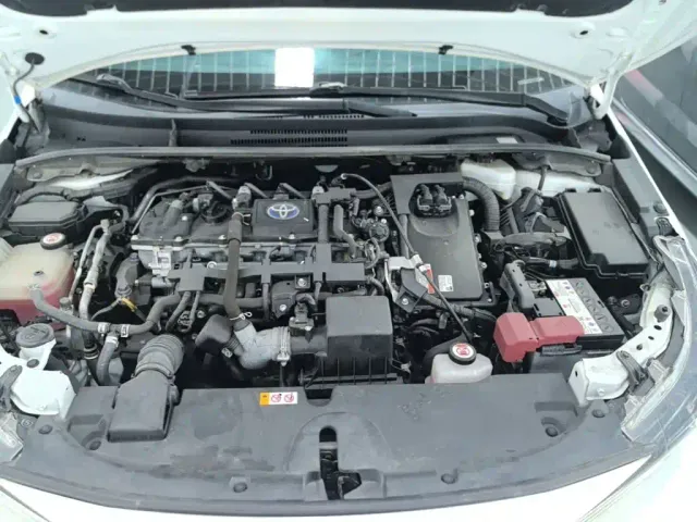 Toyota Levin — Фото автомобиля 19
